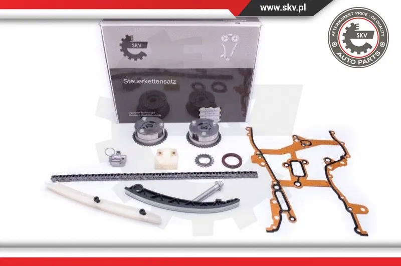 Timing Chain Kit (21SKV239)