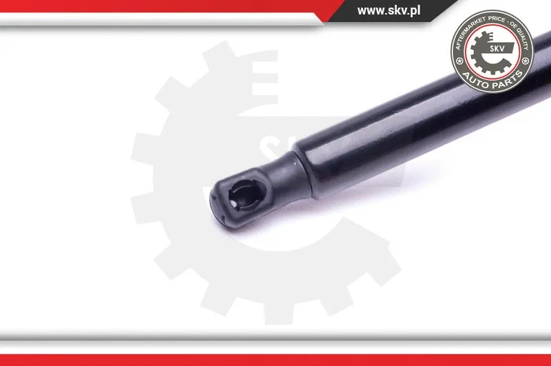 Gas Spring, boot/cargo area
