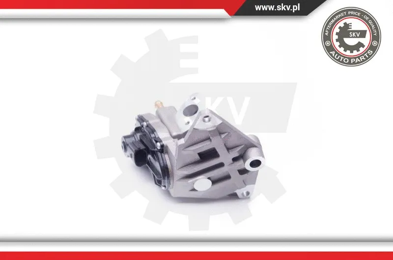 EGR Valve