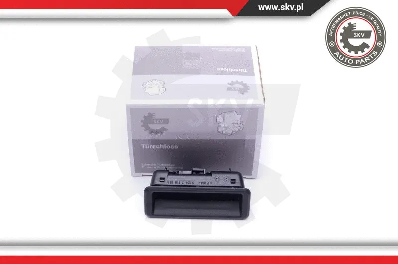 Exterior Door Handle (16SKV212)