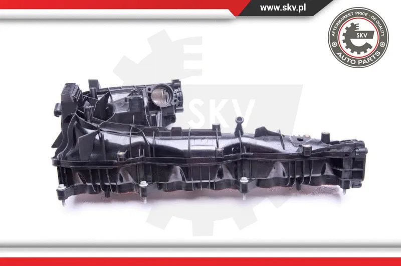 Intake Manifold Module