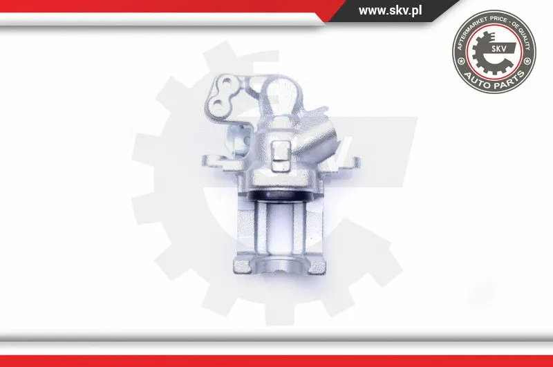 Brake Caliper (42SKV213)