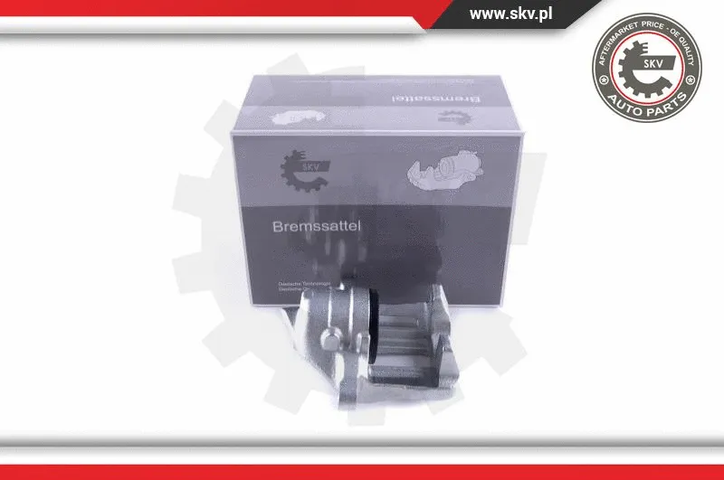 Brake Caliper (55SKV142)