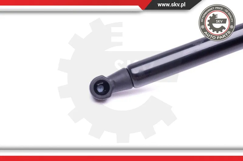 Gas Spring, boot/cargo area