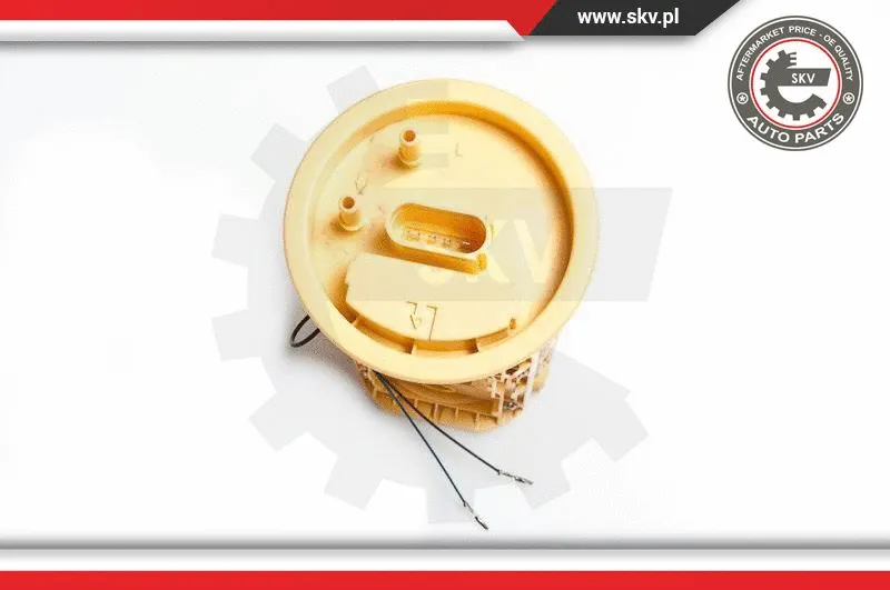 Fuel Feed Unit (02SKV736)