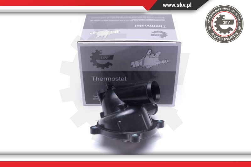 Thermostat, coolant (20SKV179)
