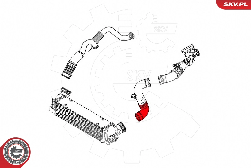 Charge Air Hose