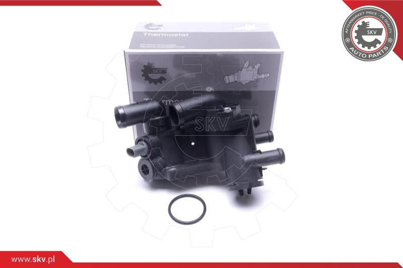 Thermostat, coolant (20SKV207)