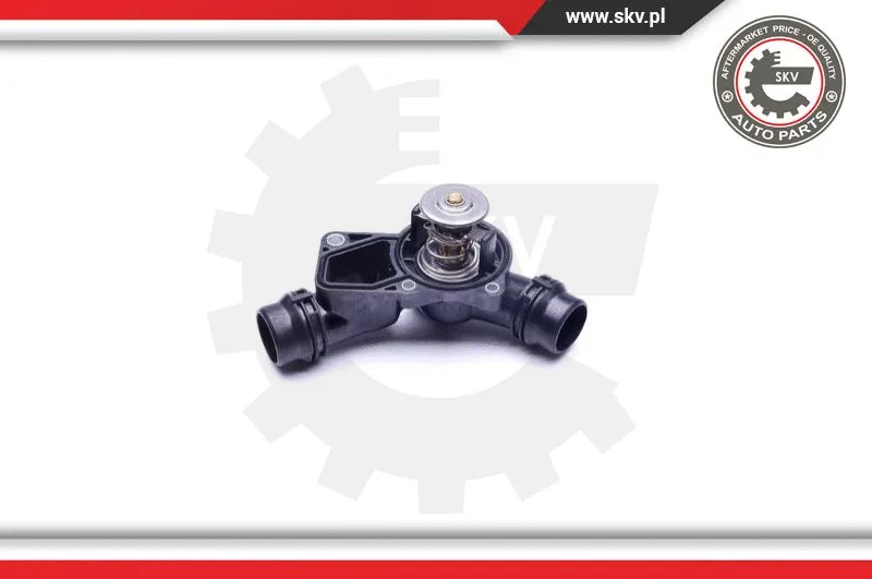 Thermostat, coolant