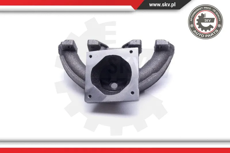 Manifold, exhaust system