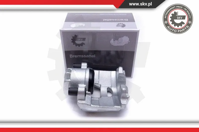 Brake Caliper (55SKV812)
