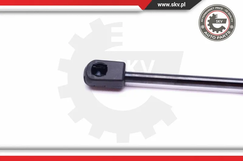 Gas Spring, boot/cargo area