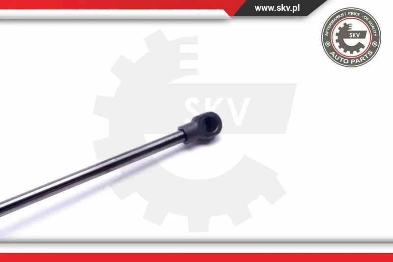 Gas Spring, boot/cargo area