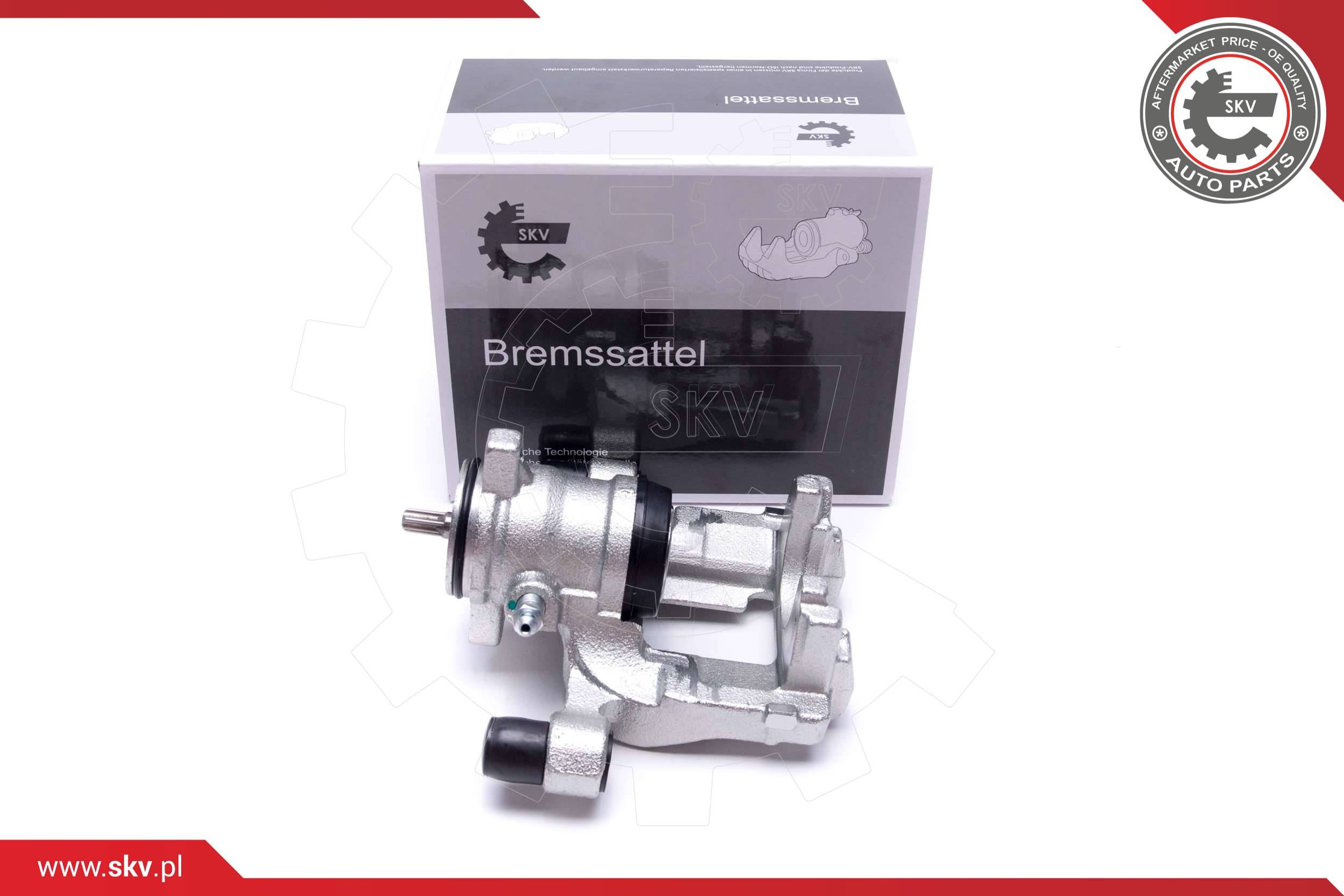 Brake Caliper (56SKV314)