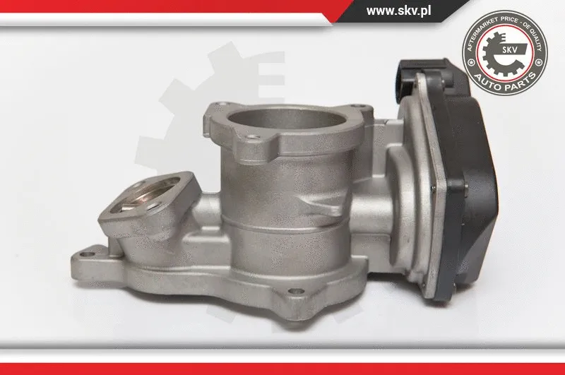 EGR Valve