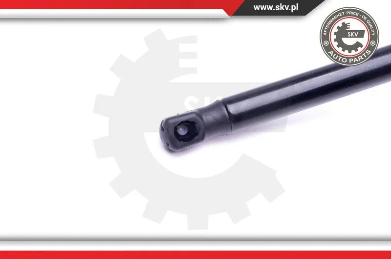 Gas Spring, boot/cargo area