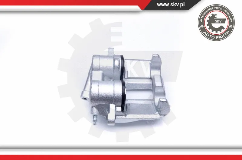 Brake Caliper (42SKV742)