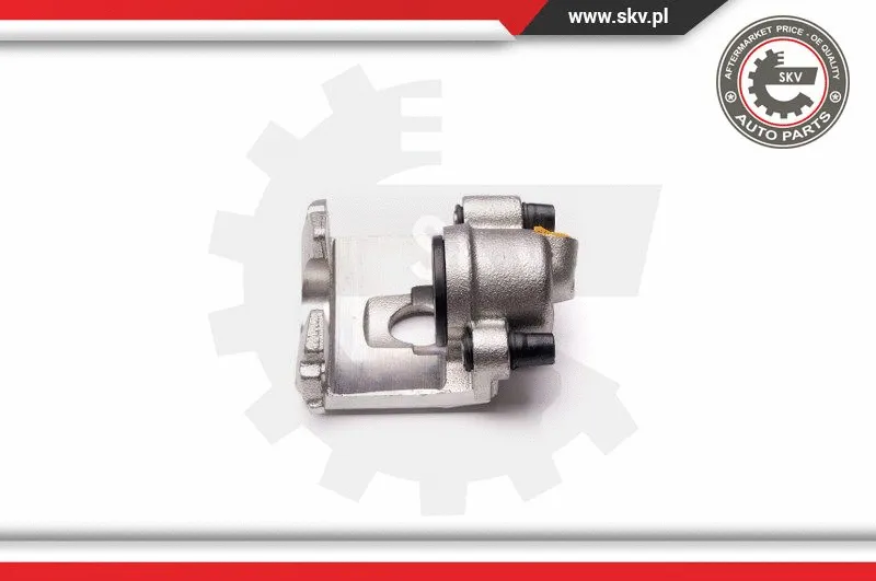 Brake Caliper (23SKV831)