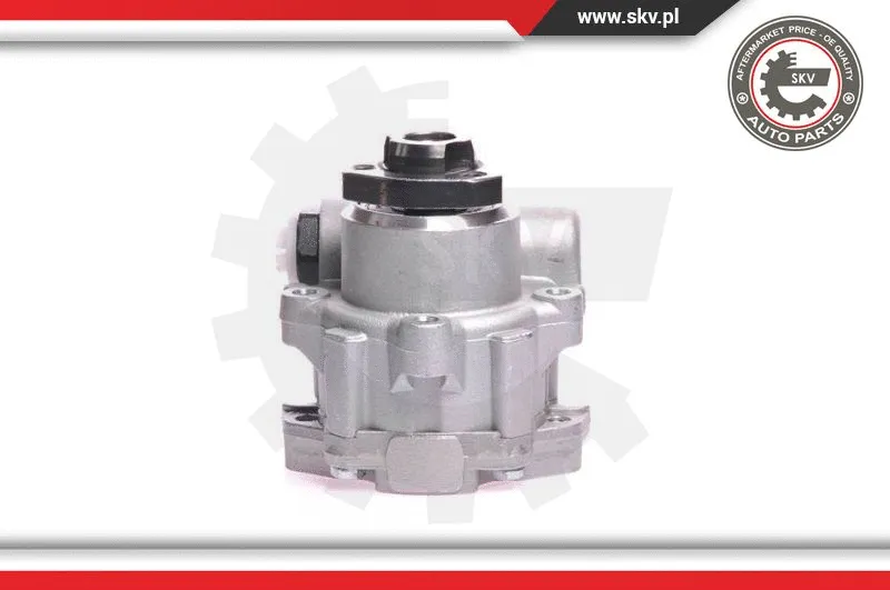 Hydraulic Pump, steering (10SKV121)