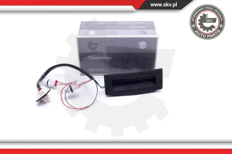 Exterior Door Handle (16SKV262)