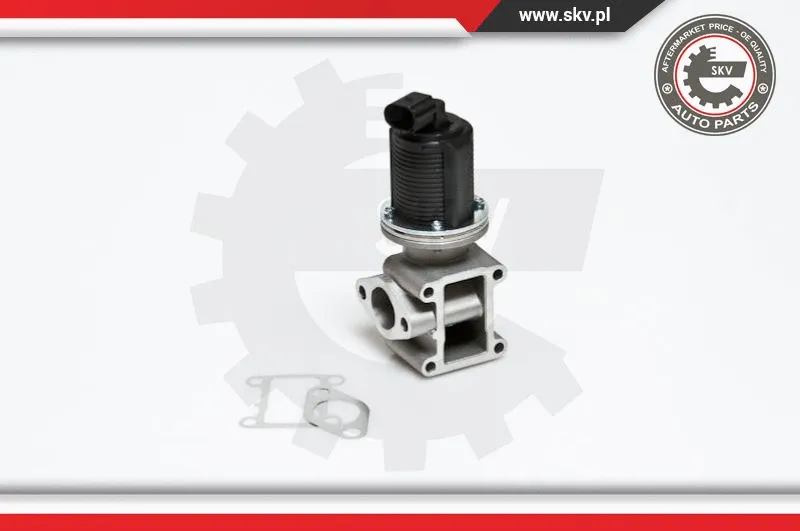 EGR Valve (14SKV012)