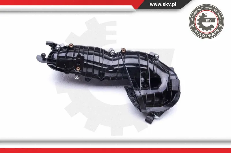 Intake Manifold Module