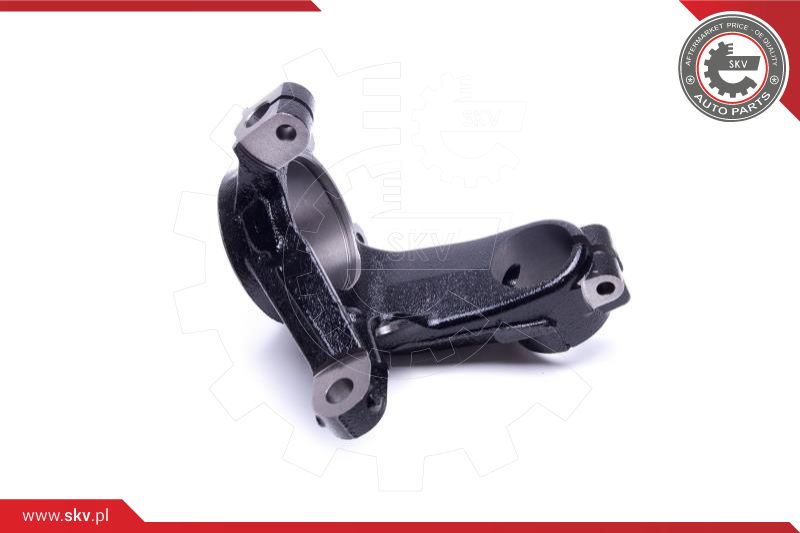 Steering Knuckle, wheel suspension
