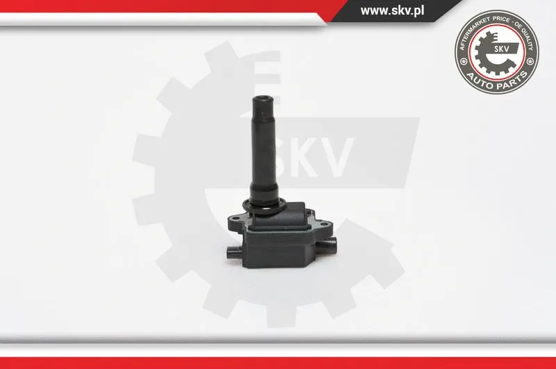 Ignition Coil (03SKV149)