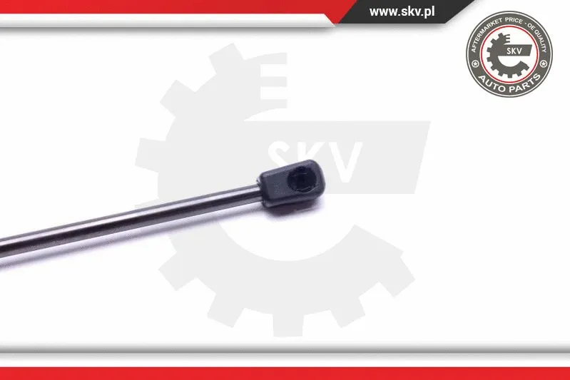 Gas Spring, boot/cargo area