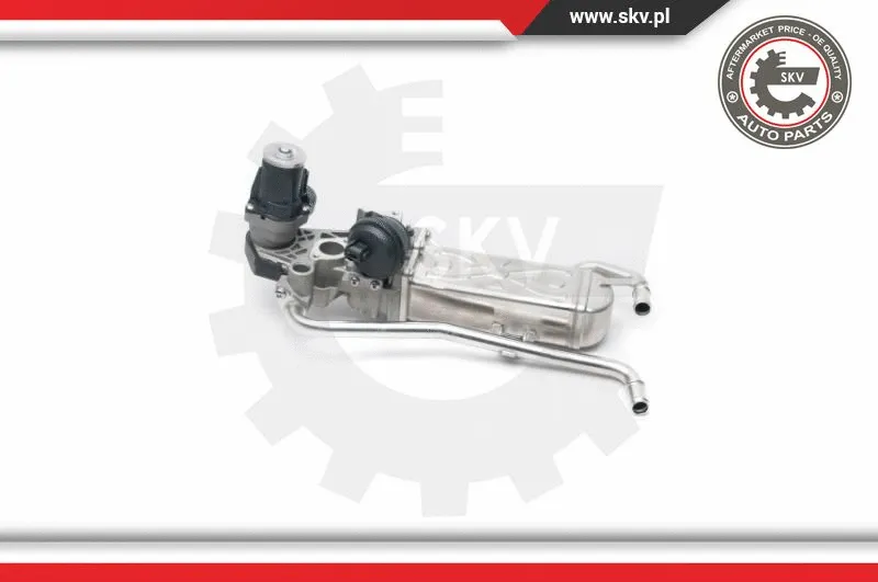 EGR Valve