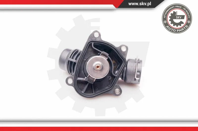 Thermostat, coolant (20SKV064)