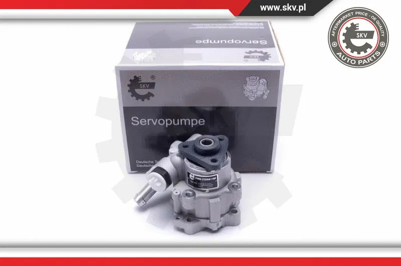 Hydraulic Pump, steering (10SKV291)