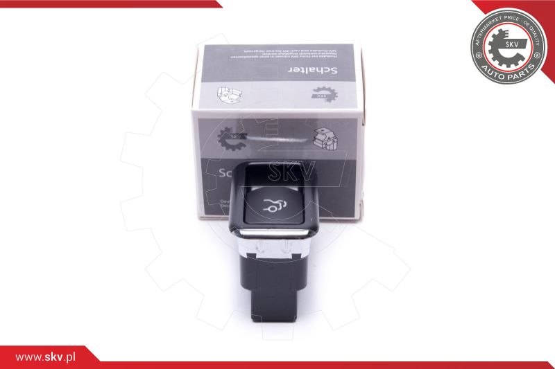 Switch, tailgate release (38SKV806)