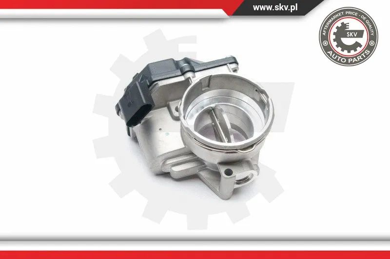Throttle Body