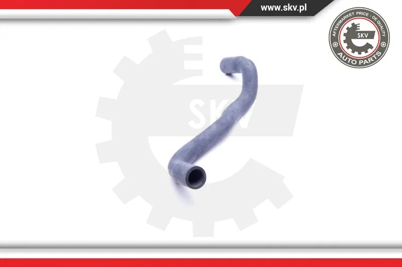 Radiator Hose (24SKV372)