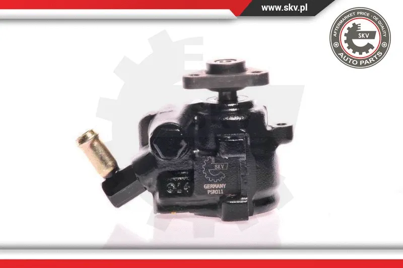 Hydraulic Pump, steering (10SKV175)