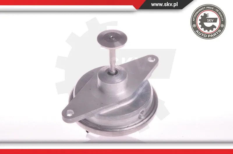 EGR Valve (14SKV022)