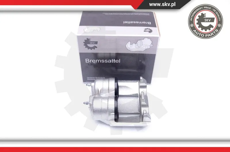 Brake Caliper (42SKV121)