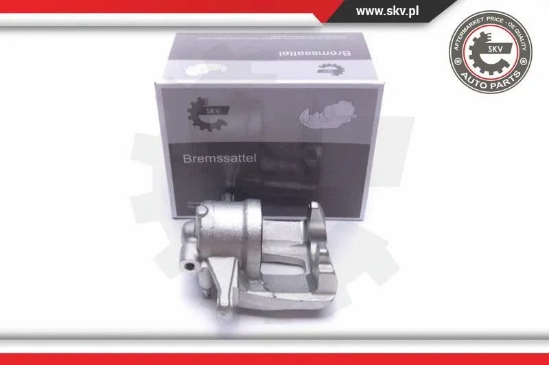 Brake Caliper (55SKV912)