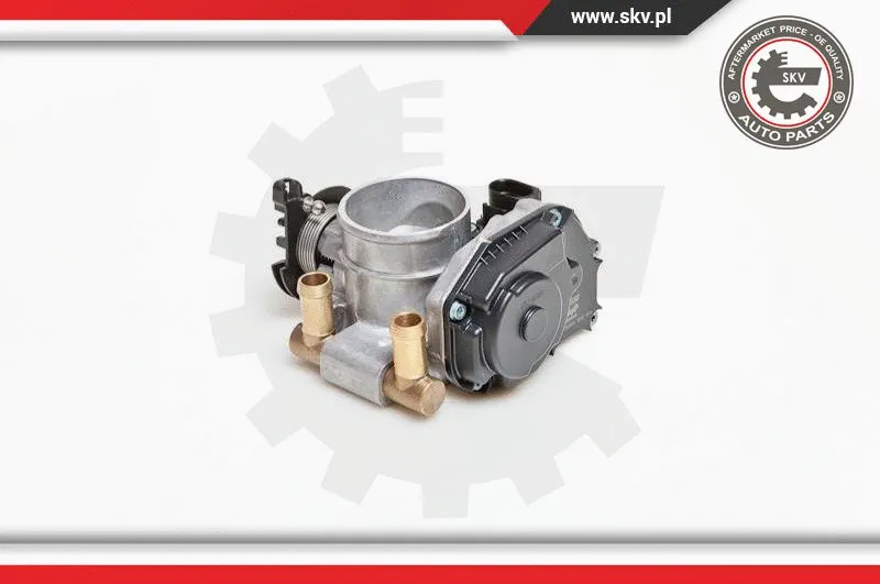 Throttle Body