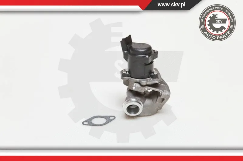 EGR Valve