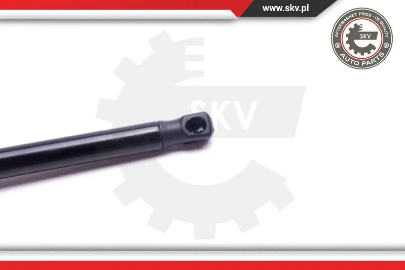 Gas Spring, boot/cargo area