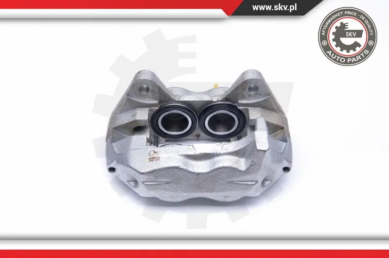 Brake Caliper (45SKV132)