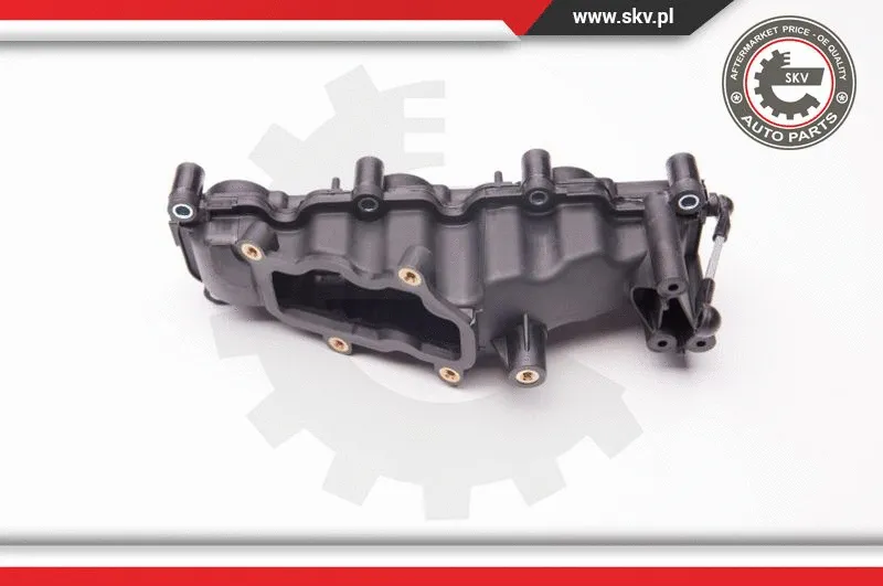 Intake Manifold Module