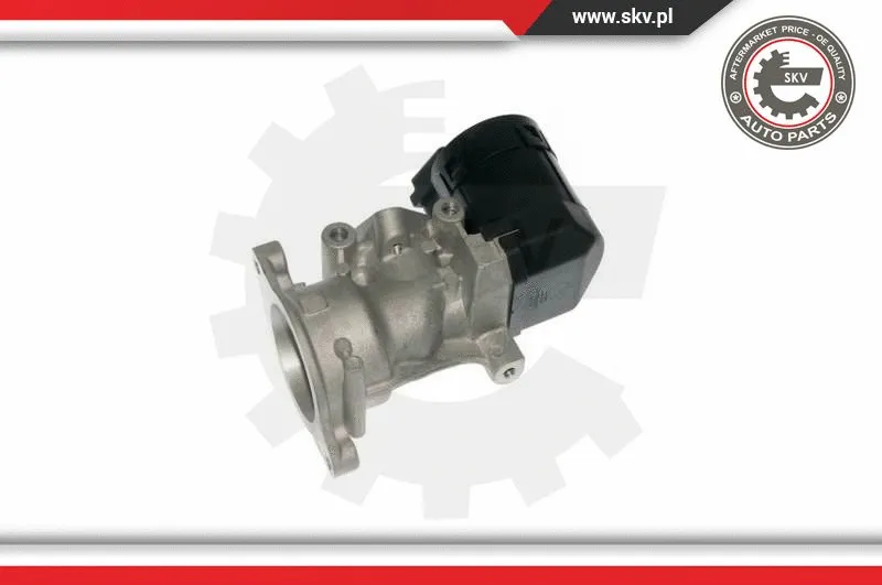 EGR Valve