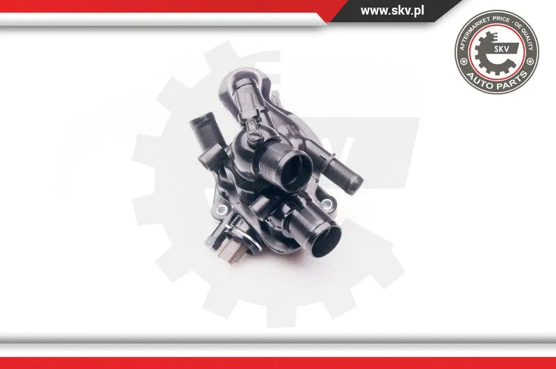 Thermostat, coolant