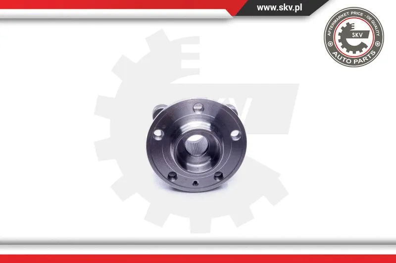 Wheel Bearing Kit
