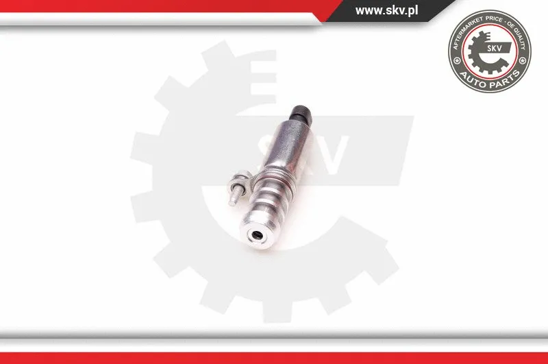 Control Valve, camshaft adjustment (39SKV002)