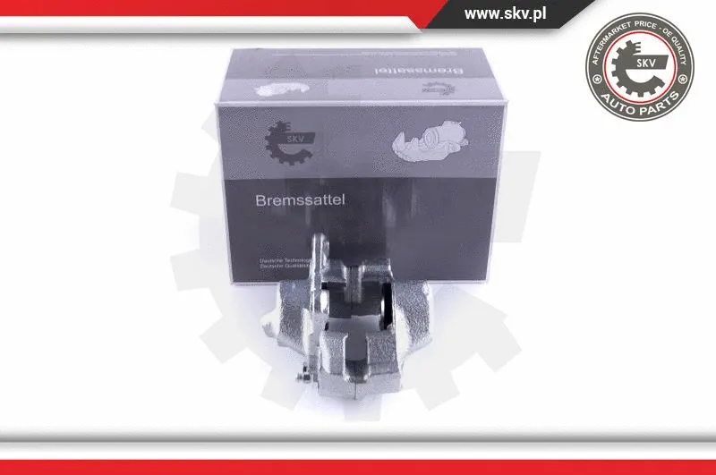 Brake Caliper (55SKV224)