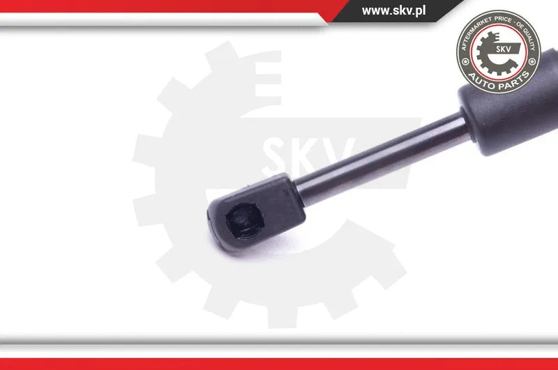 Gas Spring, boot/cargo area